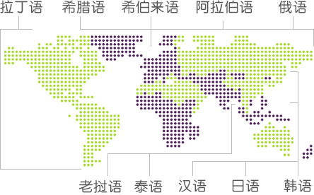 .xyz支持的语言